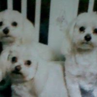 Sue Jacobsen Photo 29