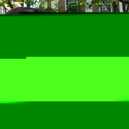 Shannon Fitzpatrick Photo 29