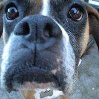 Ronald Jaeger Photo 6