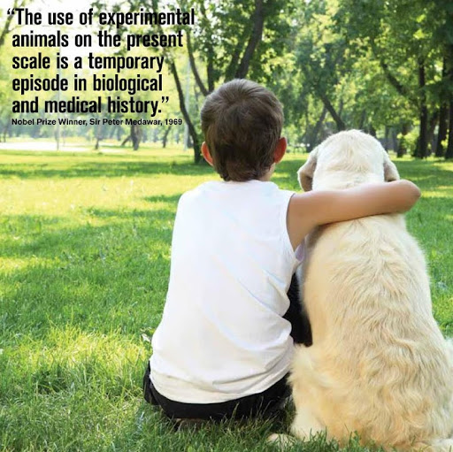 Susan Dunne Photo 17