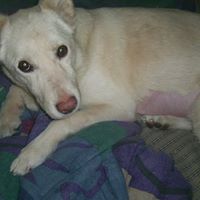 Robyn Reilly Photo 15