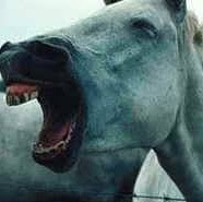 Brian Baxter Photo 49