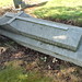 Douglas Mole Photo 15