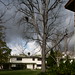 Clarence Hill Photo 38