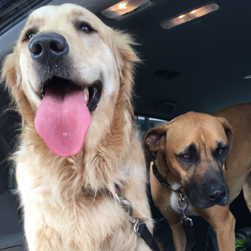 Beth Crowder Photo 12