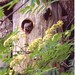 Annette Victor Photo 15