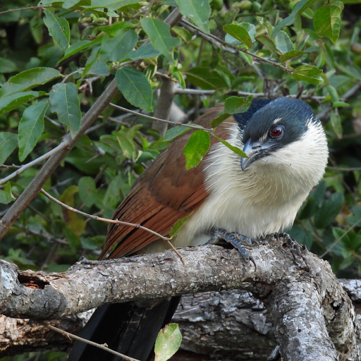 Ruth Dawson Photo 35