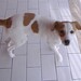 Christine Gatti Photo 8