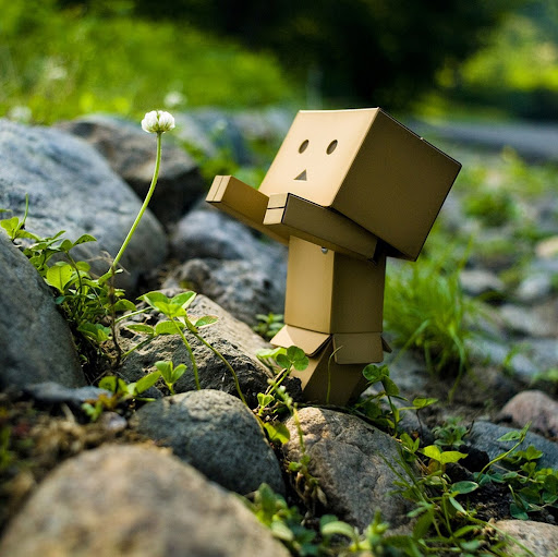 Jesse Silva Photo 40 Jesse Silva Photo 40