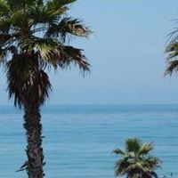 Janet Harrell Photo 28