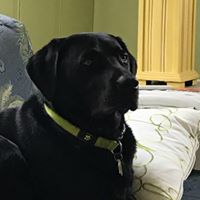 Teresa Beckley Photo 3