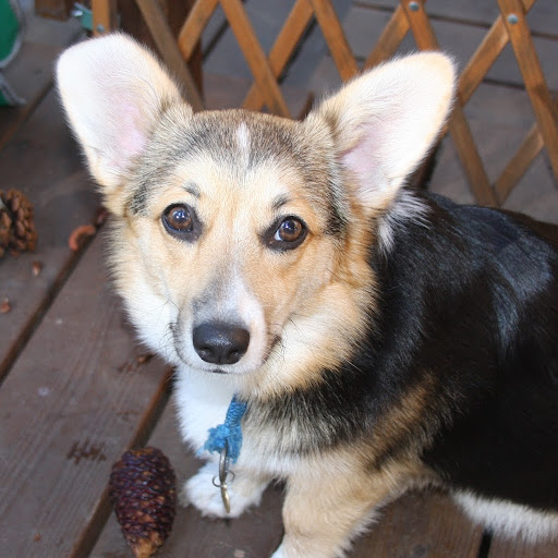 Sarah Sorensen Photo 22