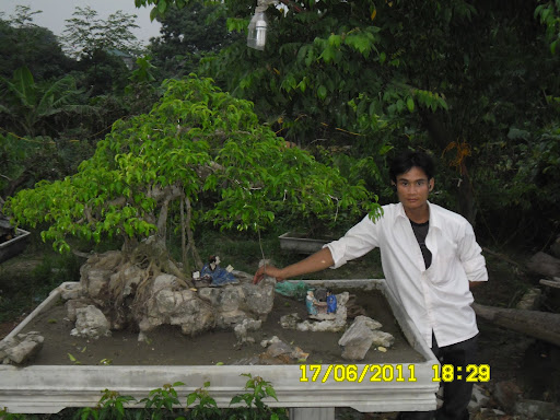 Su Dang Photo 7