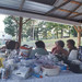 Marsha Wolfe Photo 9