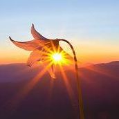 Daniel Kraus Photo 22 Daniel Kraus Photo 22