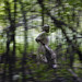 Mary Palmieri Photo 34
