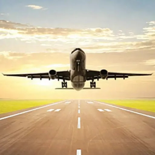 Elizabeth Kline Photo 21