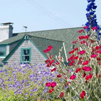 Julie Parent Photo 5