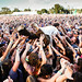 Edward Sharpe Photo 6
