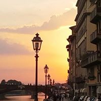 Gayle Harris Photo 6