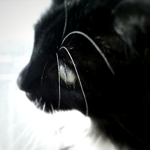 Audrey Wilson Photo 9