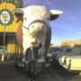 Steve Bird Photo 10