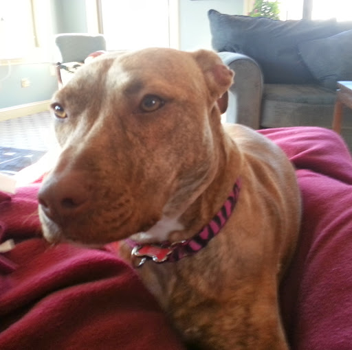 Thomas Conroy Photo 31