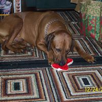 Patrick Rowland Photo 29