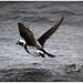 Sandy Long Photo 31