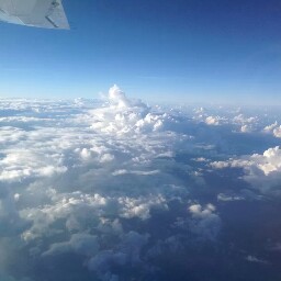 Anita Fields Photo 41