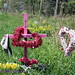 Glenn Horner Photo 14