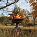 Thomas Lowry Photo 29