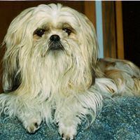 Susan Thacker Photo 19