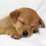 Julia Burgess Photo 14