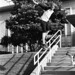 Michael Schafer Photo 45