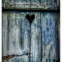 Amy Herrmann Photo 6