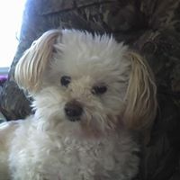 Jane Loper Photo 2