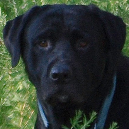 Nicholas Perry Photo 39 Nicholas Perry Photo 39