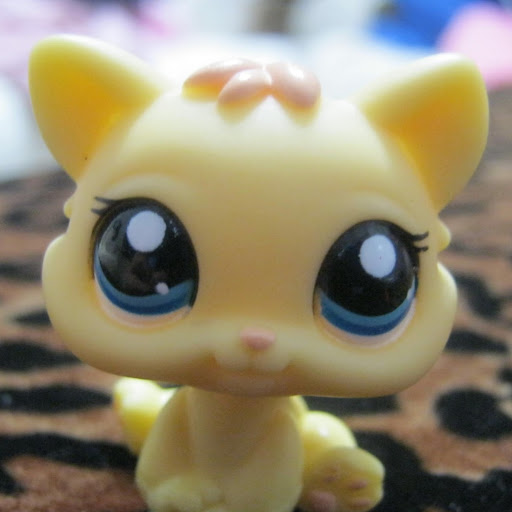 Sarah Truong Photo 9