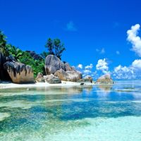 Susan Whiteman Photo 21