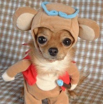 Rebecca Wilhelm Photo 32