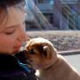 Michele Craig Photo 9