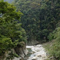 Wai Ho Photo 19