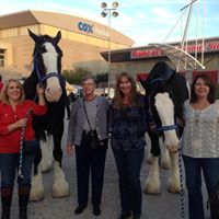 Pam Montgomery Photo 18