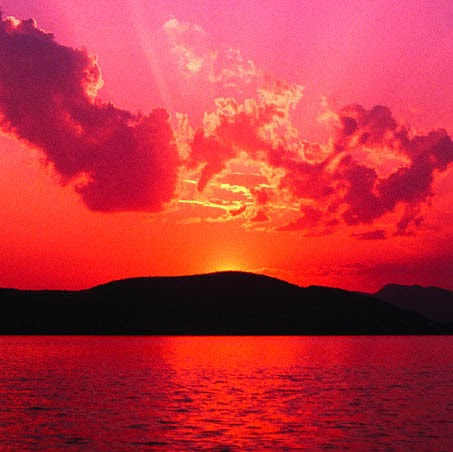 William Rosales Photo 20