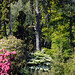 Judy Ballard Photo 13