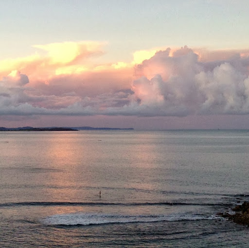 Michelle Halstead Photo 29