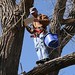 Jay Yoder Photo 33