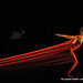 Rene Carlson Photo 8