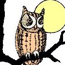 Cathy Dolan Photo 30